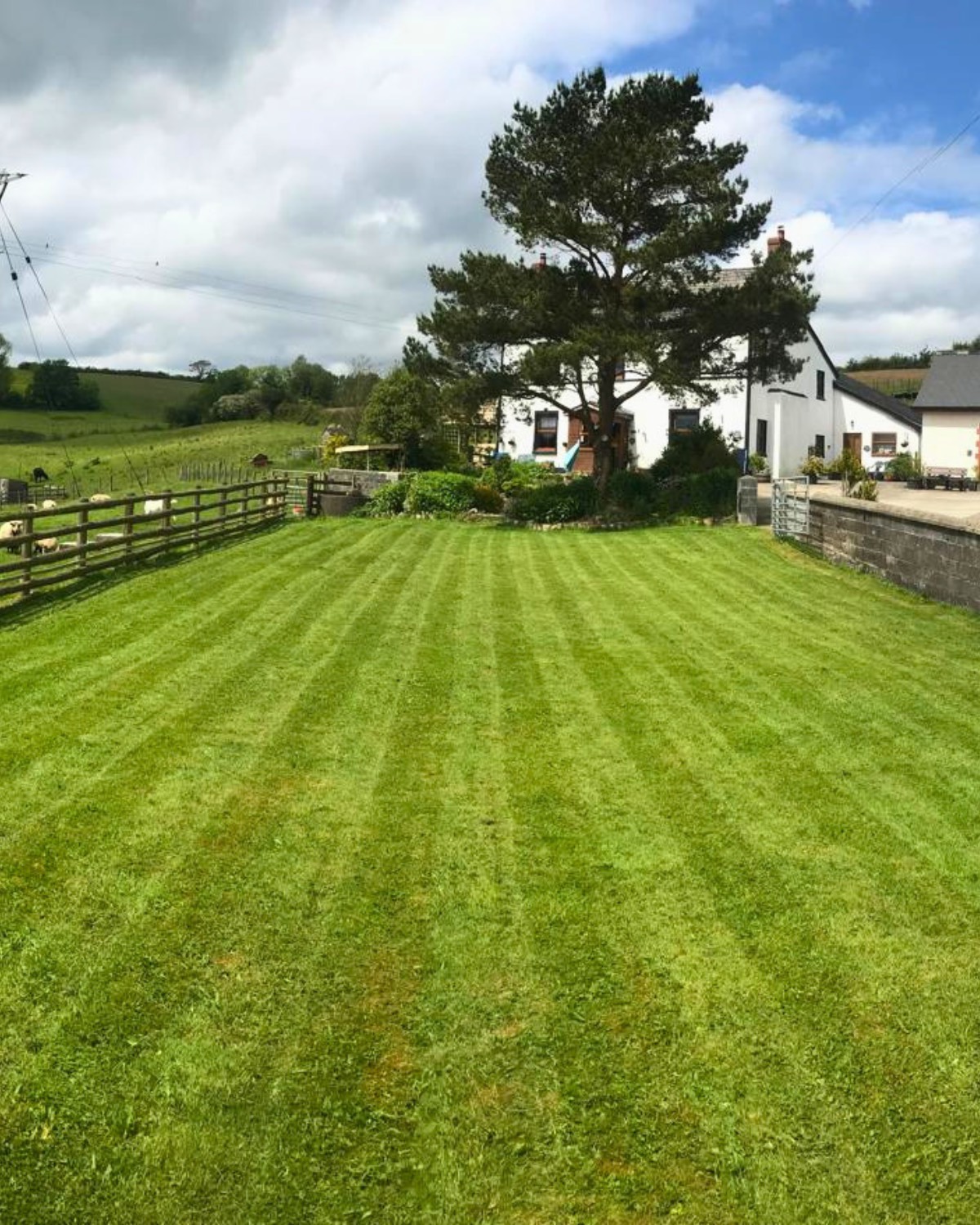 A freshly cut, striped lawn at a farmhouse near Carmarthen