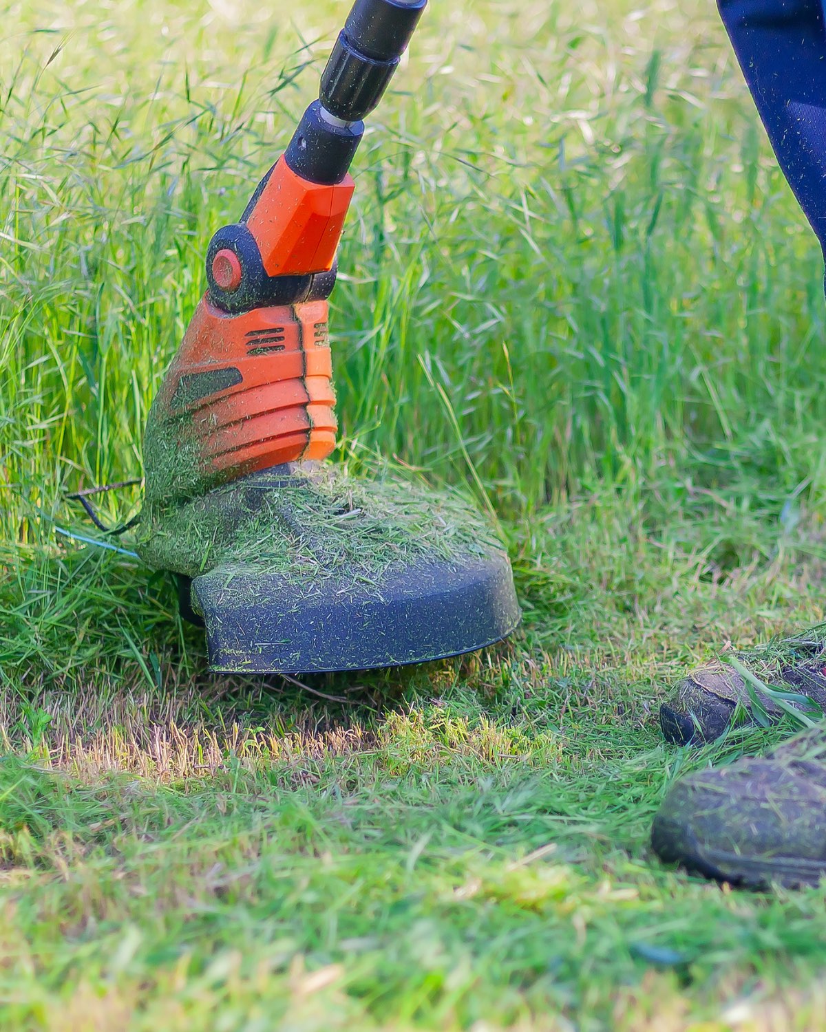 A strimmer head covered in fresh grass clippings