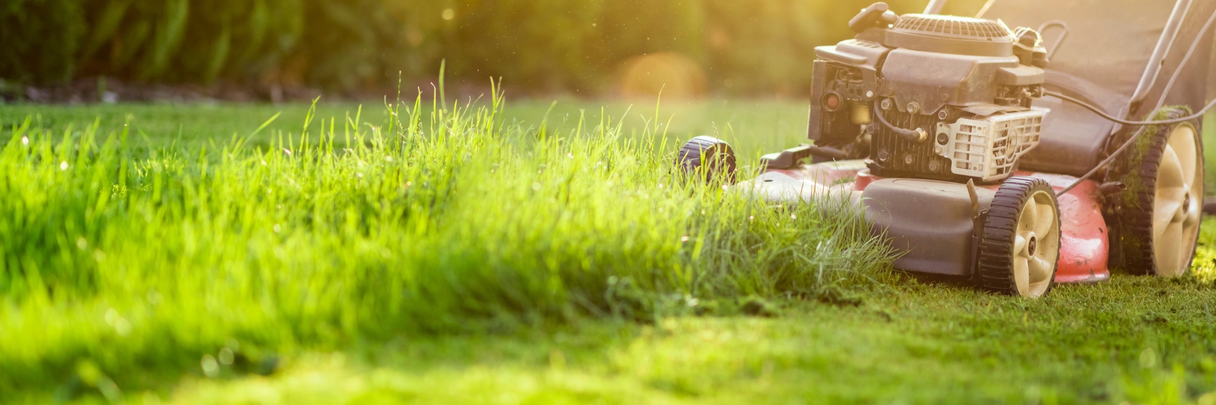 A lawnmower cutting long grass in low evening sun